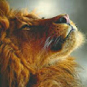 Meet your Posher, Tommy